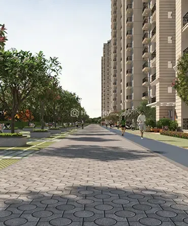 Signature Millennia 4 Image 8