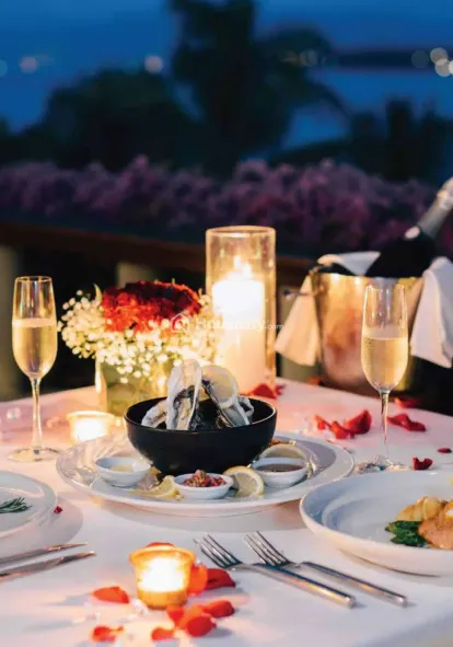 Signature Global SCO 37D Image 1