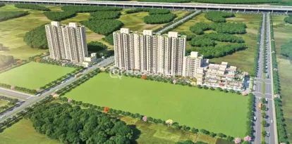 Signum 37D - 4 Image 3