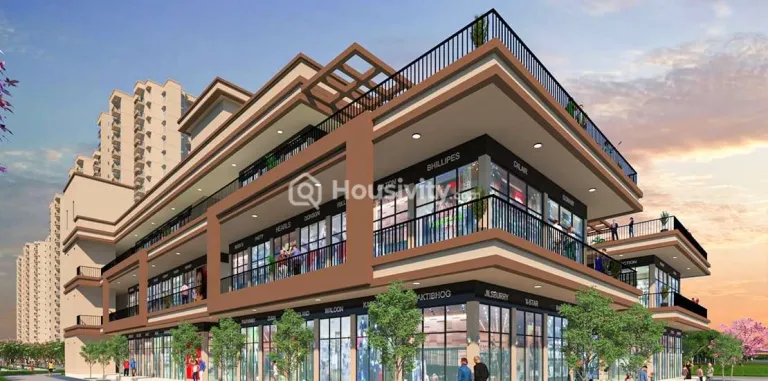 Signum 37D - 4 Image 2