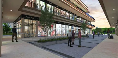 Signum 37D - 4 Thumbnail