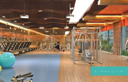 Renox Thrive Brochure Image 11