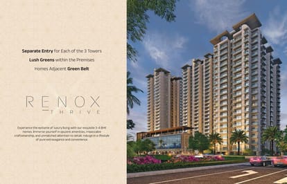 Renox Thrive Brochure Image 8