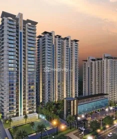 Renox Thrive Image 4