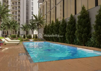 Renox Thrive Image 5