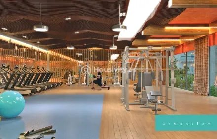 Renox Thrive Image 10