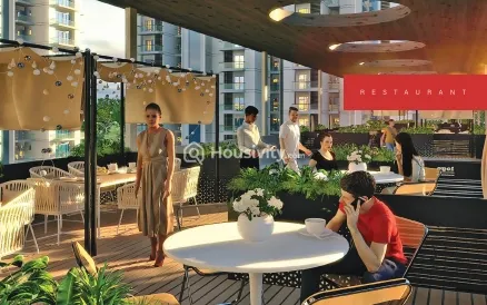 Renox Thrive Image 14