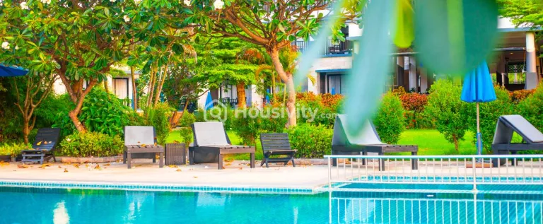 Renox Thrive Image 7