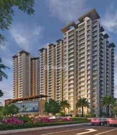 Renox Thrive Image 2