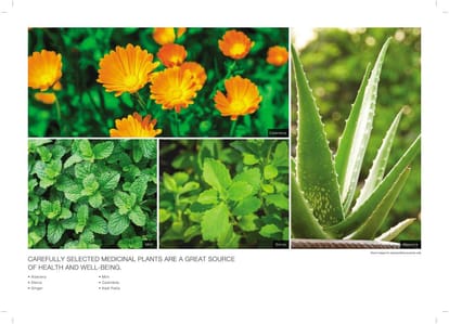 Godrej Air Brochure Image 33