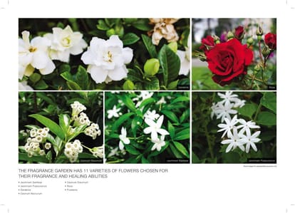 Godrej Air Brochure Image 32