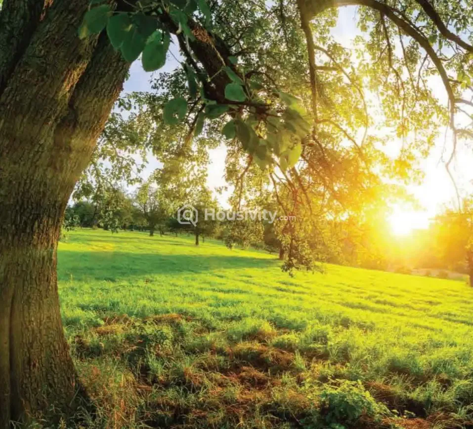 Emaar Amaris Image 3