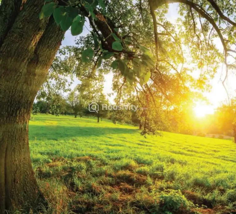 Emaar Amaris Image 3