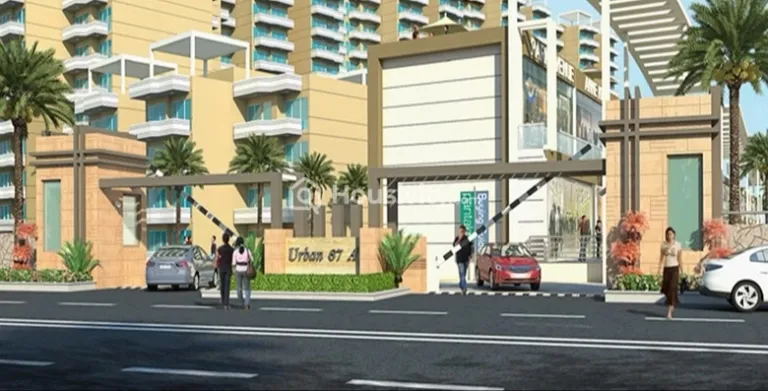 Pyramid Pride Image 5