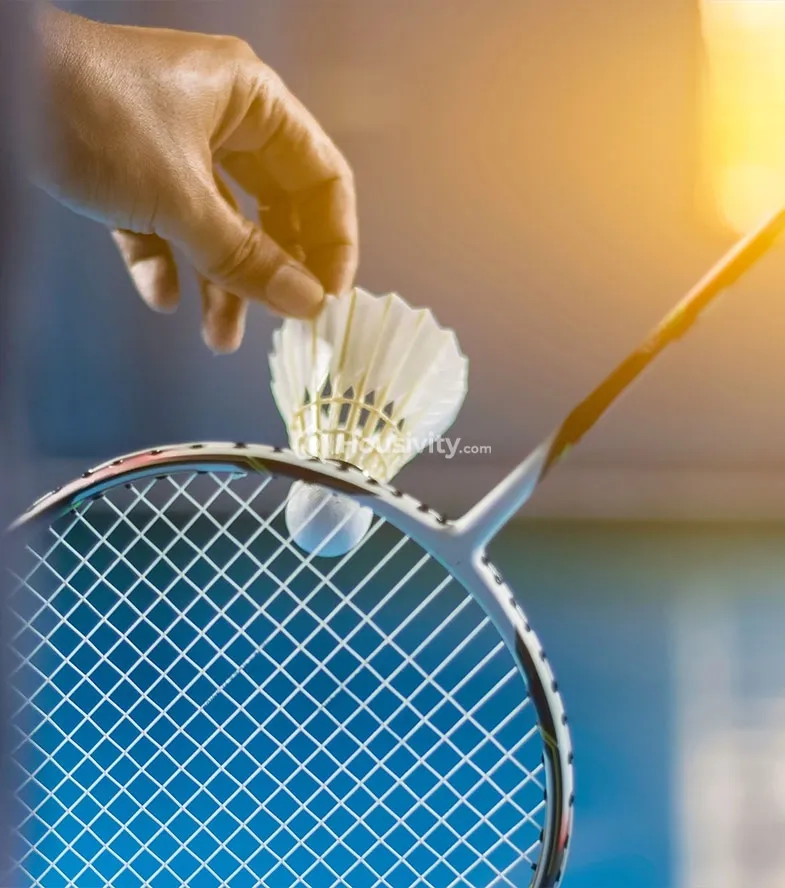 Pyramid Pride Image 3