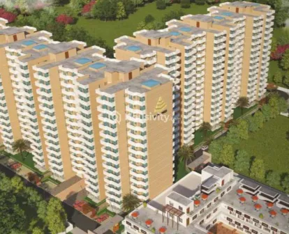 Pyramid Pride Image 4