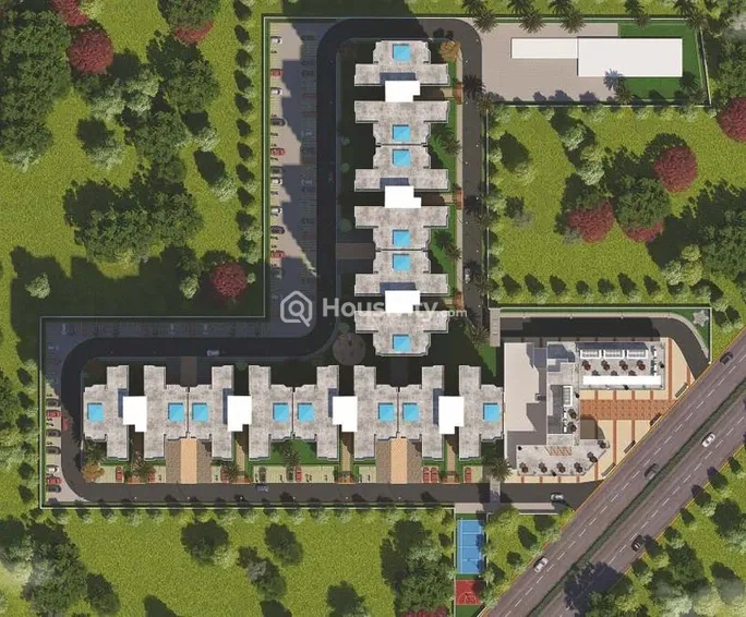 Pyramid Pride Image 1