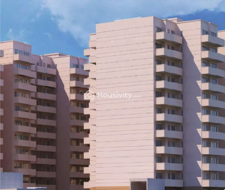 Pyramid Elite Image 1