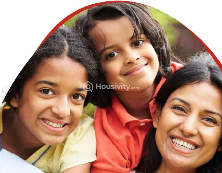 Pyramid Elite Image 6