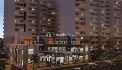 Pyramid Elite Image 5