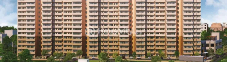 Pyramid Elite Image 4