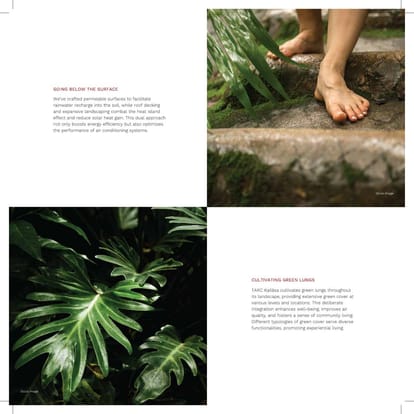 Tarc Kailasaa Brochure Image 105