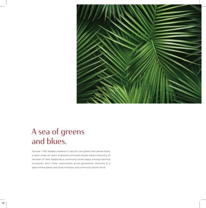Tarc Kailasaa Brochure Image 20