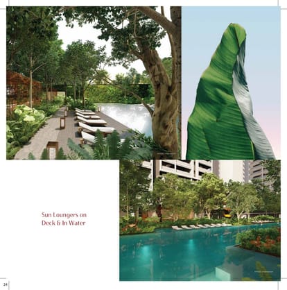 Tarc Kailasaa Brochure Image 26