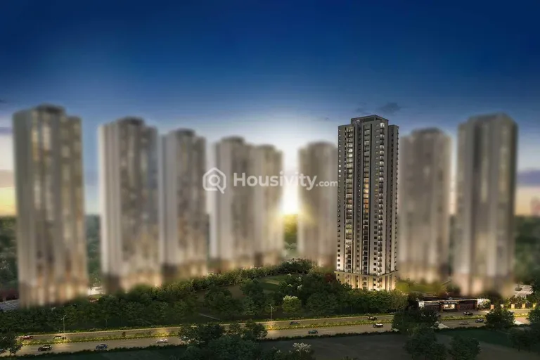 SS Cendana Reserve Collection Thumbnail