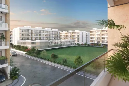 SS Linden Floors Image 2