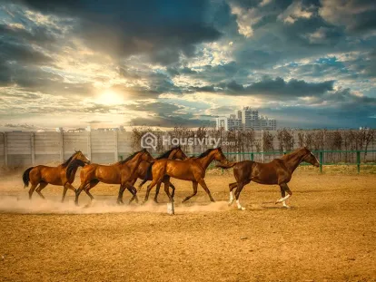 Central Park Flower Valley Bignonia Towers Image 11