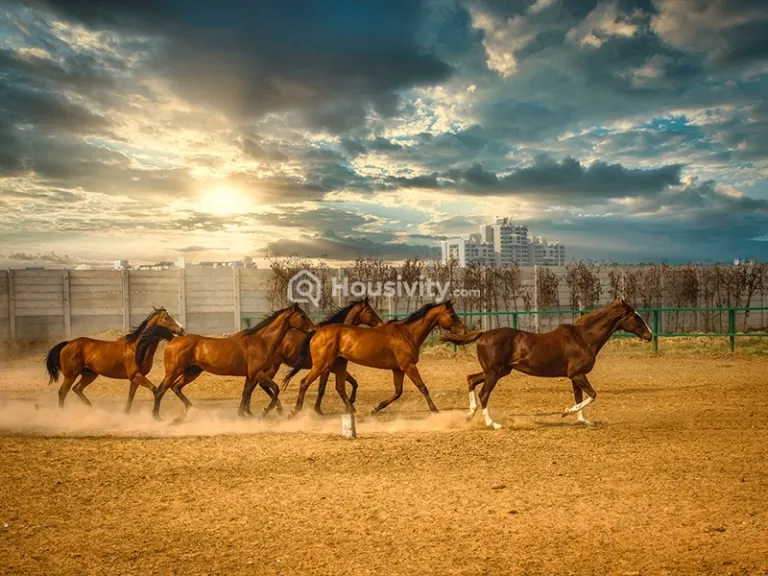 Central Park Flower Valley Bignonia Towers Image 11