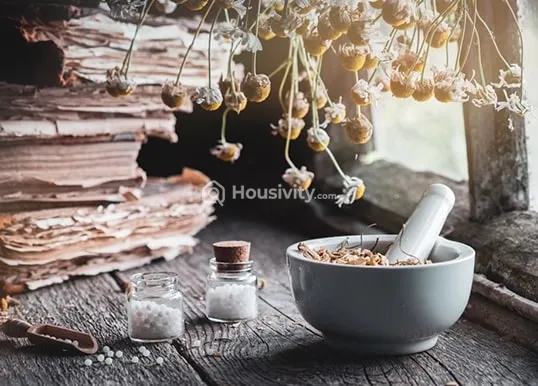 Flower Valley - Central Park Image 13