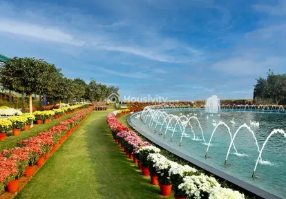 Flower Valley - Central Park Image 5