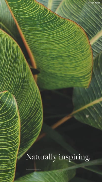 Conscient Parq Brochure Image 3