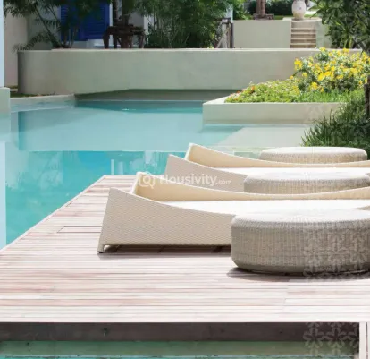 ATS Marigold Image 6