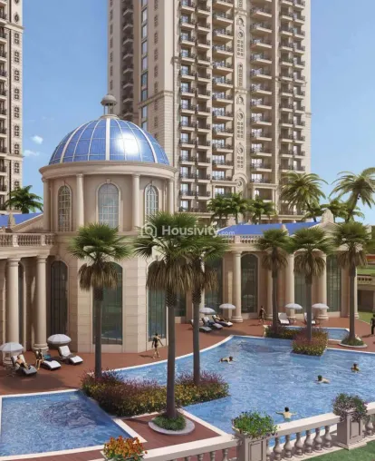 ATS Marigold Image 4