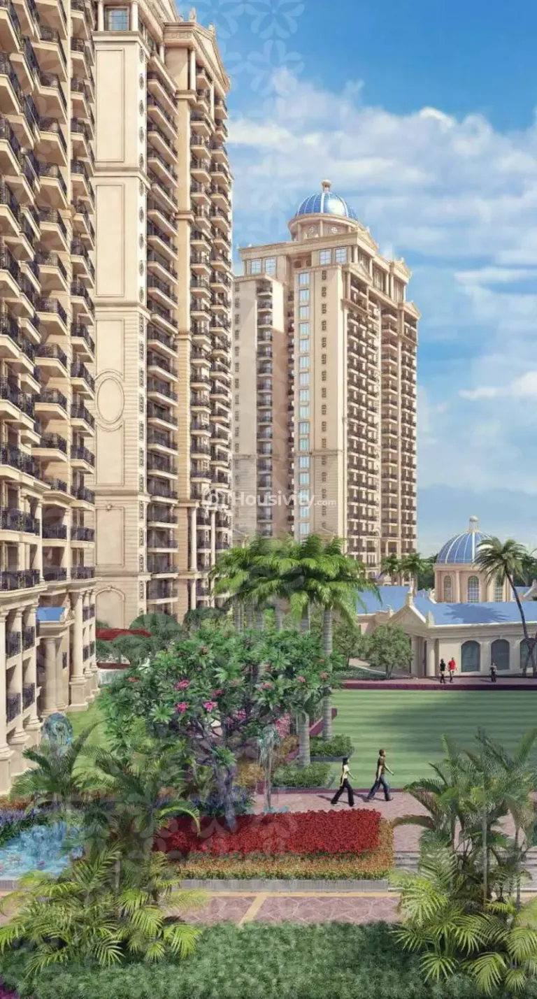 ATS Marigold Image 5