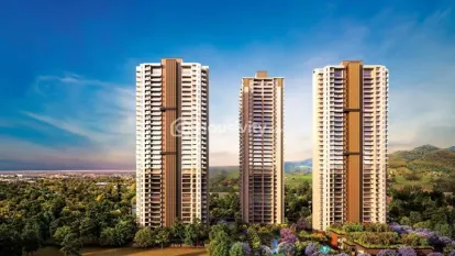 Silverglades The Legacy Image 12