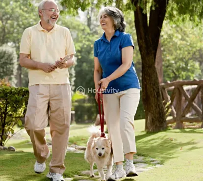 Melia First Citizen Image 1