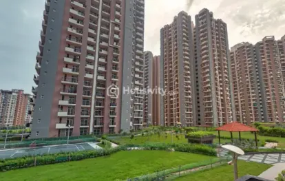 RG Luxury Homes Image 7