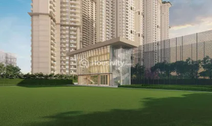 Tulip Monsella Image 5