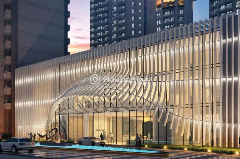 Tulip Monsella Image 8