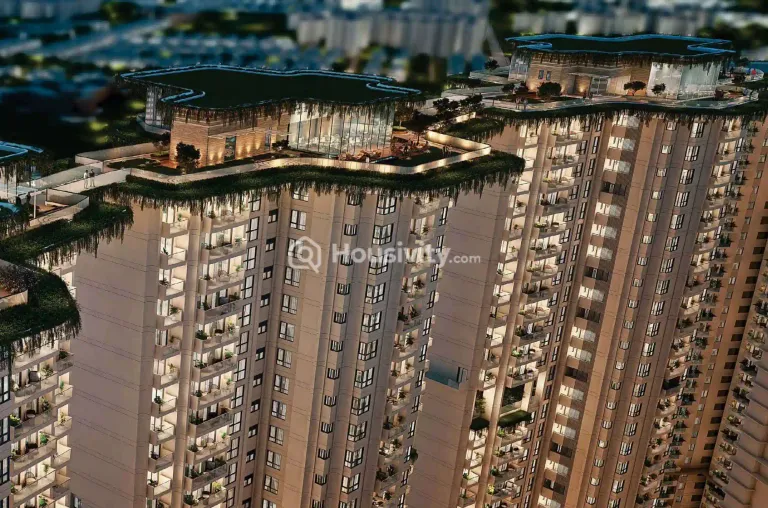 Tulip Monsella Image 9