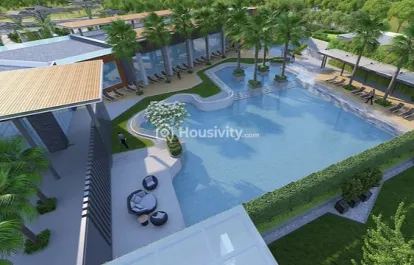 Tulip Yellow Image 9