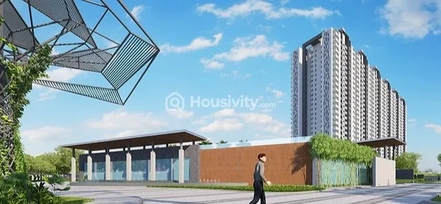 Tulip Yellow Image 11