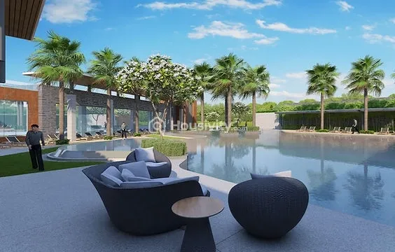 Tulip Yellow Image 10