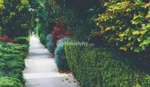 Express Astra Image 2