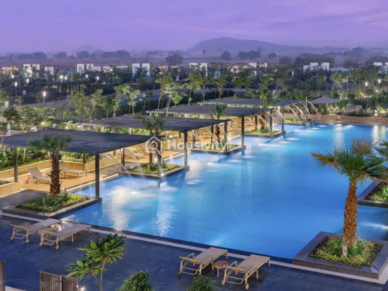 Mapsko The Icon 79 Image 7