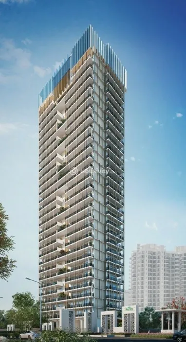 Mapsko The Icon 79 Image 1